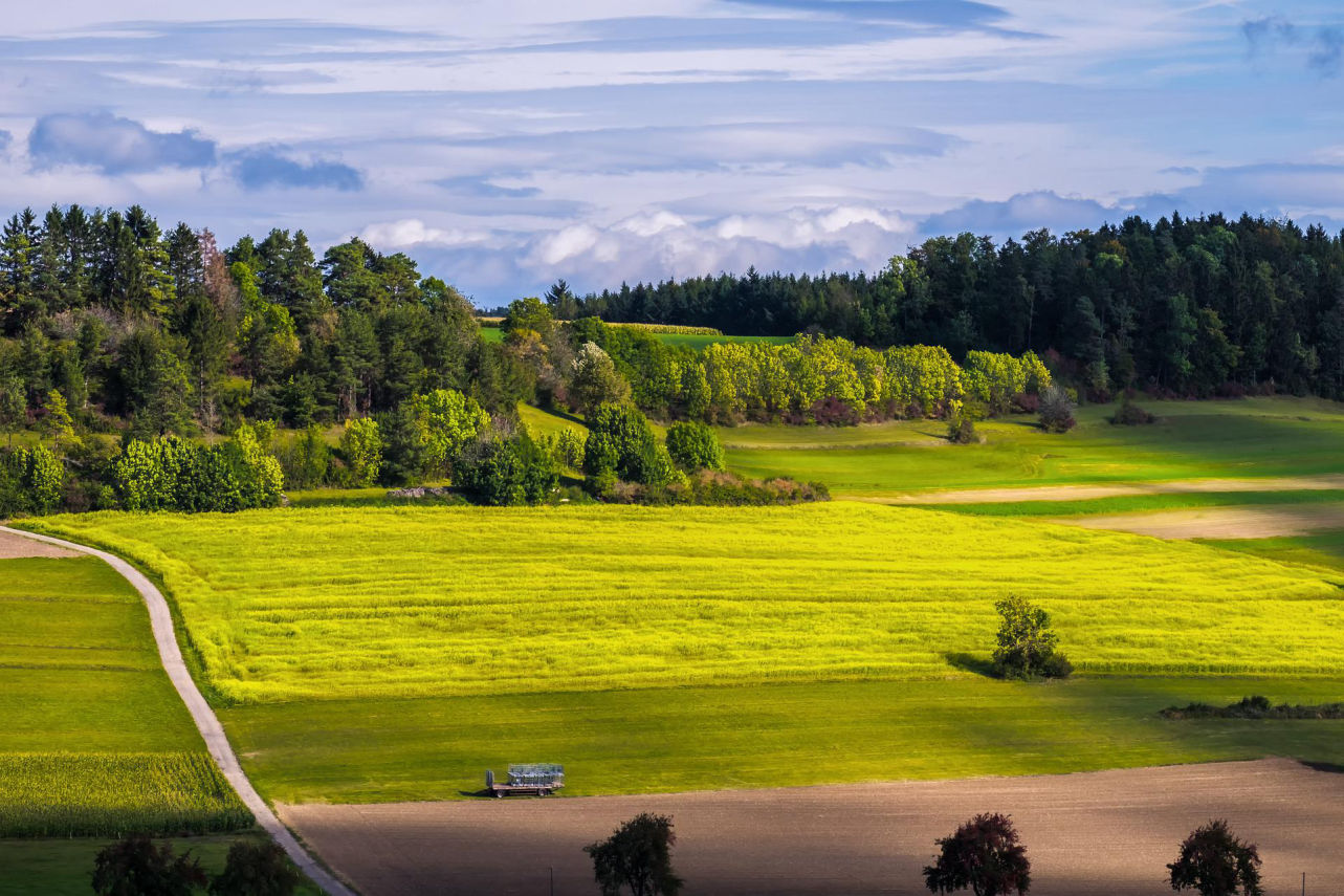 Investissement ESG à Champigny-sur-Marne